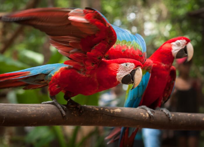 Parque de Las Aves