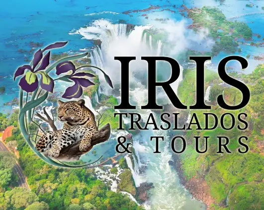 Traslados y Tours